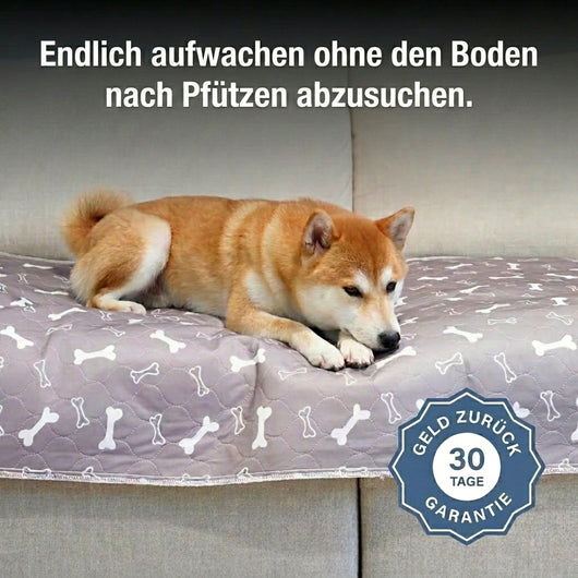 Selira - StubenRein Matte